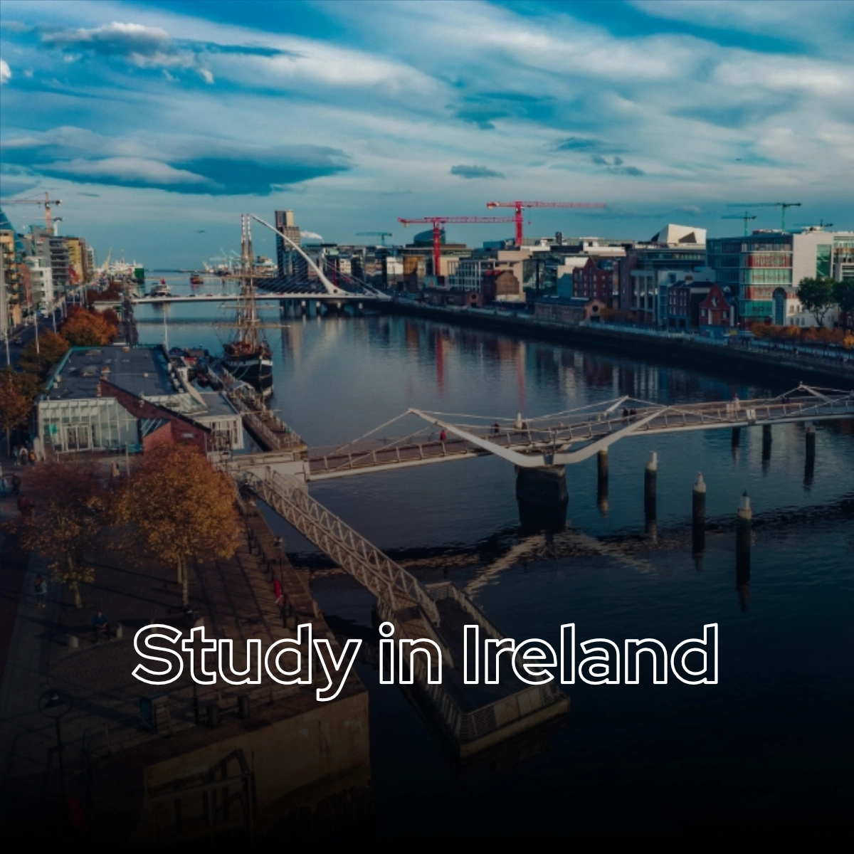 Study in Ireland | Whiteboard Consultants | Top Study Abroad Consultant