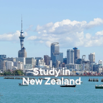 Study In New Zealand | Top Study Abroad Consultant | Whiteboard Consultants